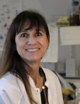 L'avatar de Corine Bertolotto