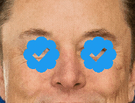 Elon Musk et le badge de certification sur X  // Source : Montage Numerama / Photo : Wikimedia Commons