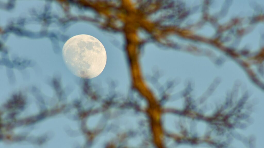 La Lune. // Source : Canva La Lune. // Source : Canva