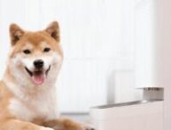 Smart Pet Food Feeder // Source : Xiaomi