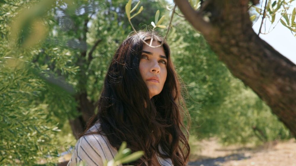 Le Chemin de l'Olivier // Source : Netflix Le Chemin de l'Olivier // Source : Netflix