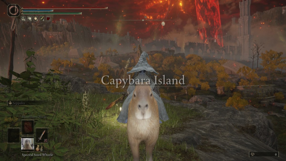Mod capybara pour Elden Ring // Source : Nexus Mods Mod capybara pour Elden Ring // Source : Nexus Mods
