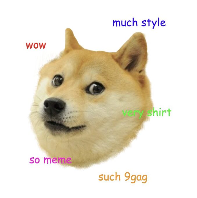 Un exemple de mème Doge // Source : Pinterest Un exemple de mème Doge // Source : Pinterest