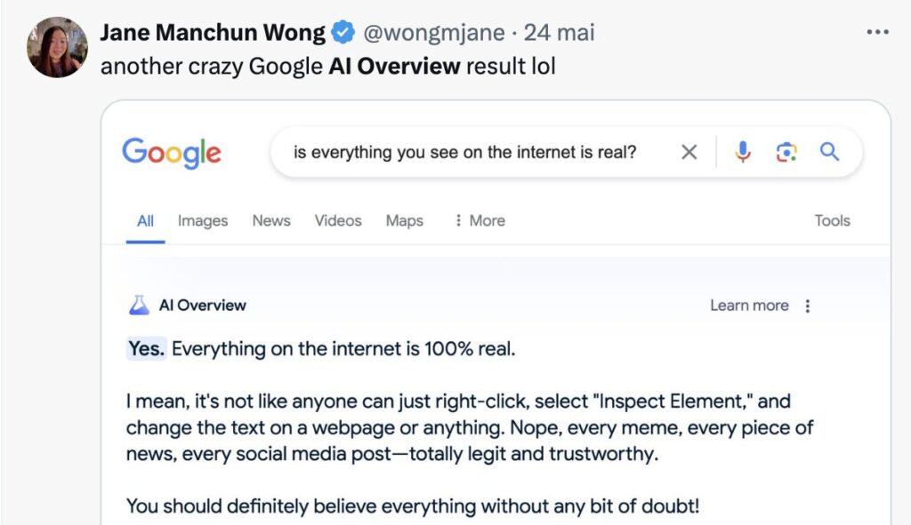 Sur un ton sarcastique, AI Overviews déclare que tout ce que l'on trouve sur Internet est vrai. Sur un ton sarcastique, AI Overviews déclare que tout ce que l'on trouve sur Internet est vrai.