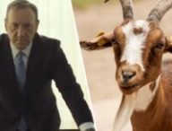 Quelle est l'histoire du Tudum de Netflix ? // Source : Montage Numerama Quelle est l'histoire du Tudum de Netflix ? // Source : Montage Numerama