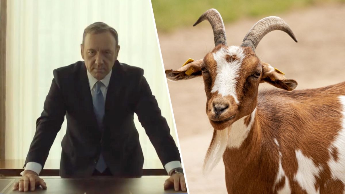 Quelle est l'histoire du Tudum de Netflix ? // Source : Montage Numerama Quelle est l'histoire du Tudum de Netflix ? // Source : Montage Numerama