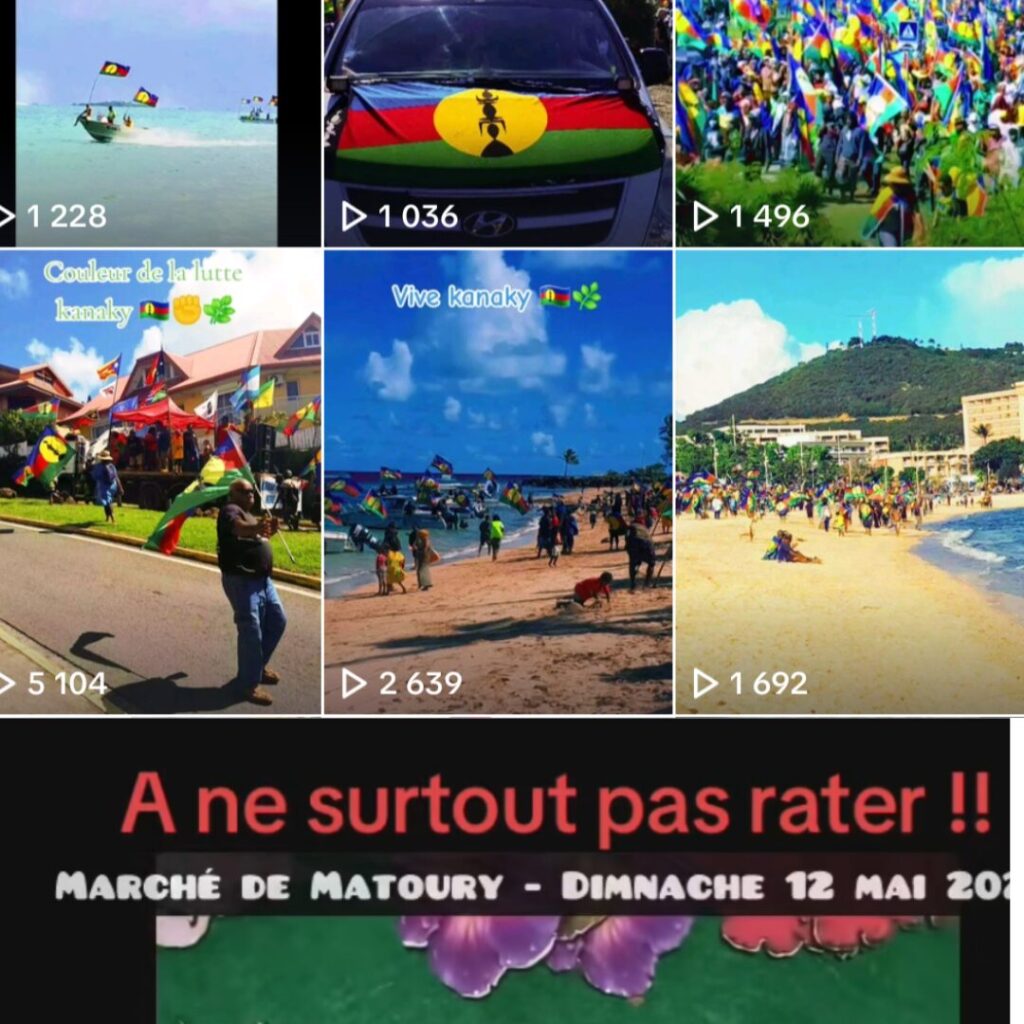 Des appels à la mobilisation sur TikTok // Source : Numerama / TikTok Des appels à la mobilisation sur TikTok // Source : Numerama / TikTok