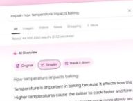 Google AI Overviews. // Source : Google