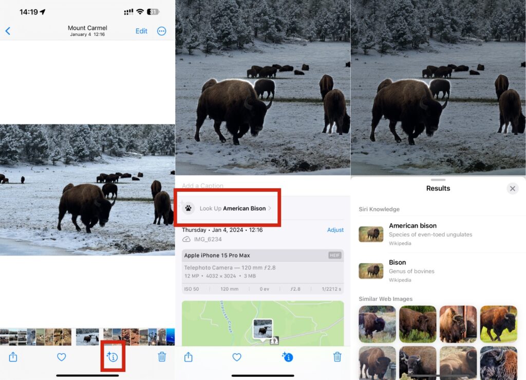 La reconnaissance d'image dans Apple Photos. La reconnaissance d'image dans Apple Photos.