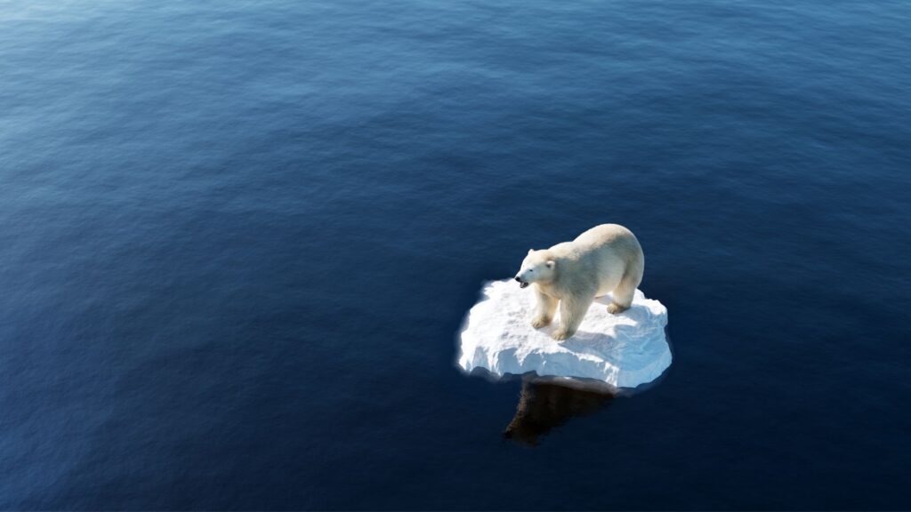 Un ours // Source : Canva Un ours // Source : Canva