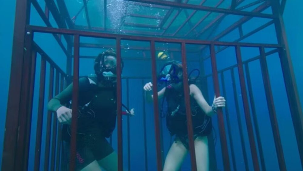 47 Meters Down // Source : Wild Side Films 47 Meters Down // Source : Wild Side Films