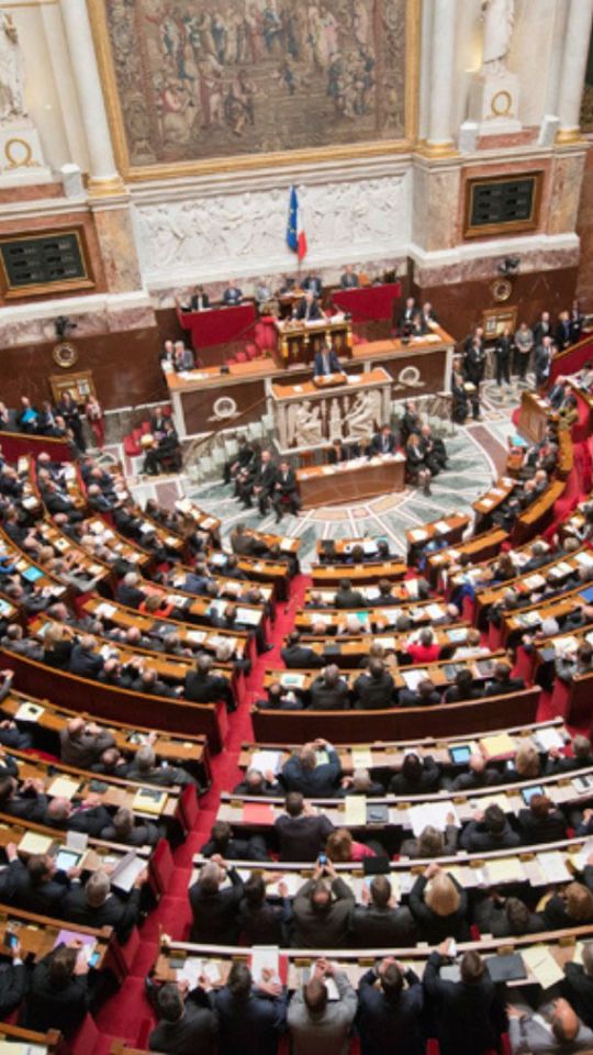 L'Assemblée nationale // Source : Assemblée nationale L'Assemblée nationale // Source : Assemblée nationale