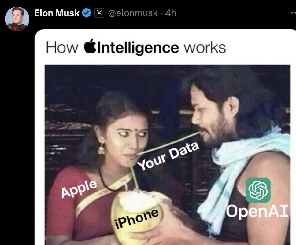 Elon Musk a partagé ce mème sur Twitter. // Source : X Elon Musk a partagé ce mème sur Twitter. // Source : X