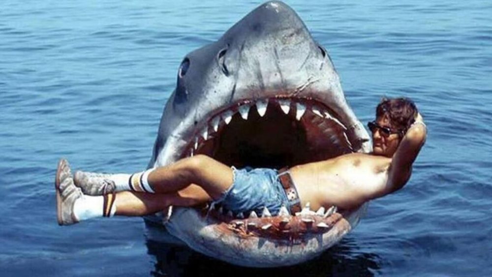 Les Dents de la Mer // Source : Universal Pictures Les Dents de la Mer // Source : Universal Pictures