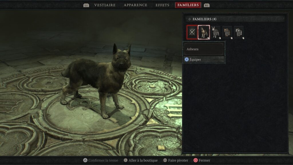 Les familiers dans Diablo IV // Source : Capture PS5 Les familiers dans Diablo IV // Source : Capture PS5