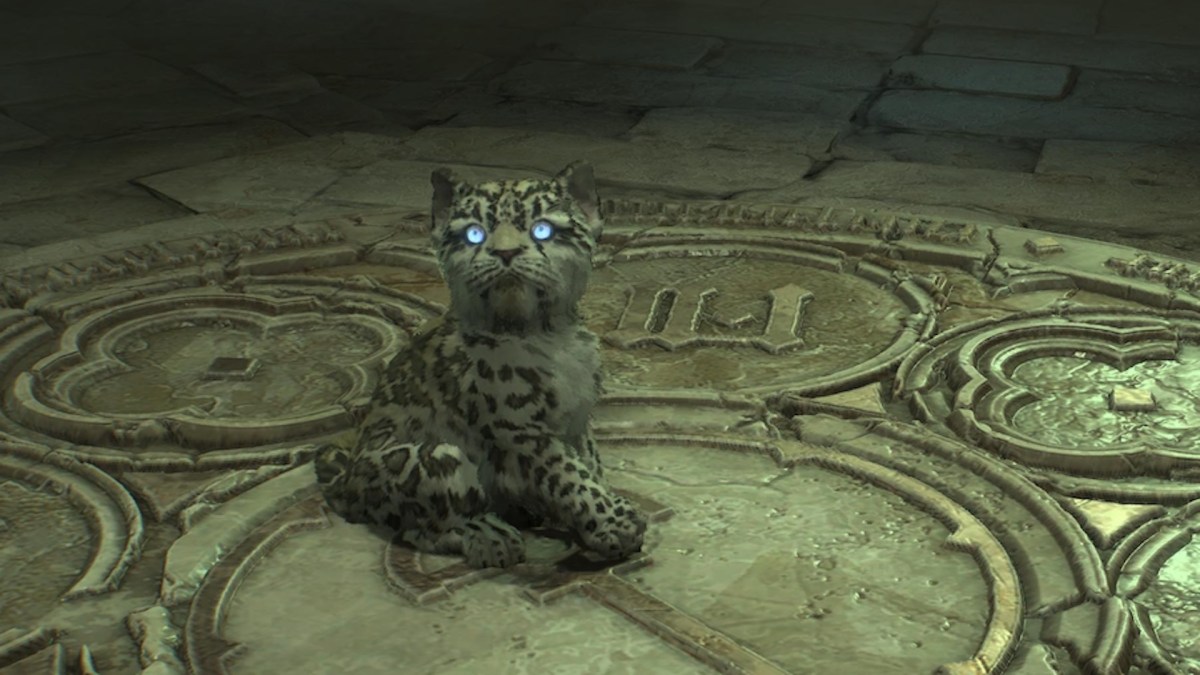 Les familiers dans Diablo IV // Source : Capture PS5 Les familiers dans Diablo IV // Source : Capture PS5