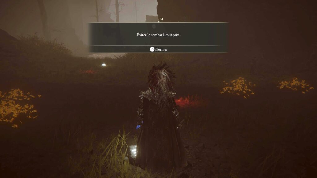 Elden Ring: Shadow of the Erdtree // Source : Capture PS5 Elden Ring: Shadow of the Erdtree // Source : Capture PS5