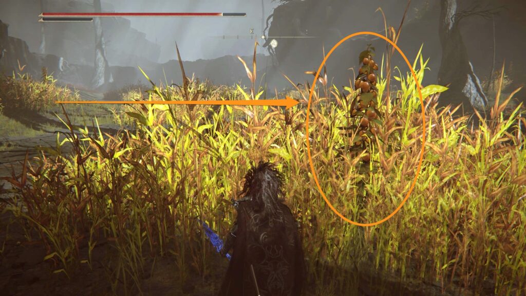 Elden Ring: Shadow of the Erdtree // Source : Capture PS5 Elden Ring: Shadow of the Erdtree // Source : Capture PS5