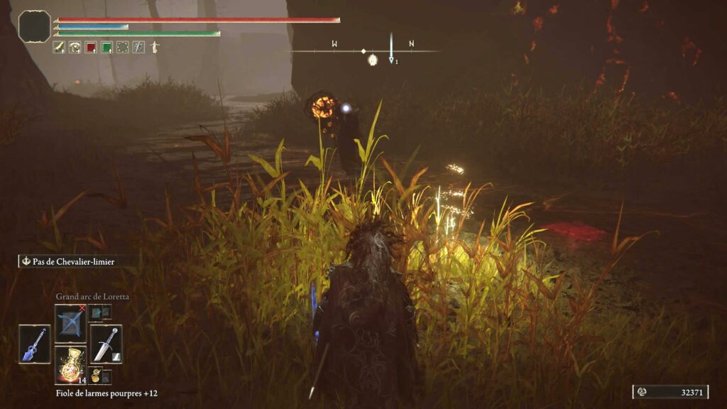 Elden Ring: Shadow of the Erdtree // Source : Capture PS5 Elden Ring: Shadow of the Erdtree // Source : Capture PS5
