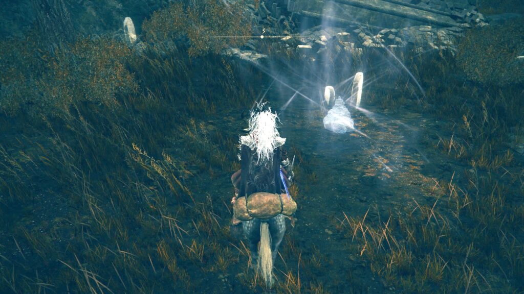 Elden Ring: Shadow of the Erdtree // Source : Capture PS5 Elden Ring: Shadow of the Erdtree // Source : Capture PS5