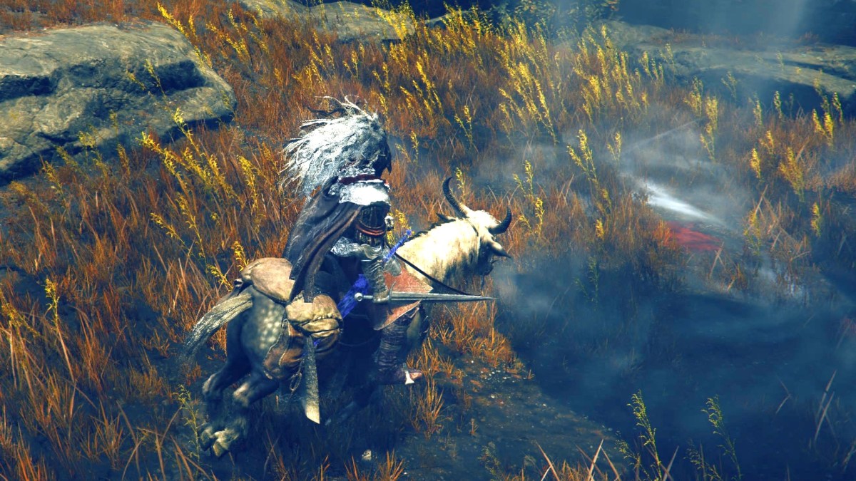 Elden Ring: Shadow of the Erdtree // Source : Capture PS5 Elden Ring: Shadow of the Erdtree // Source : Capture PS5