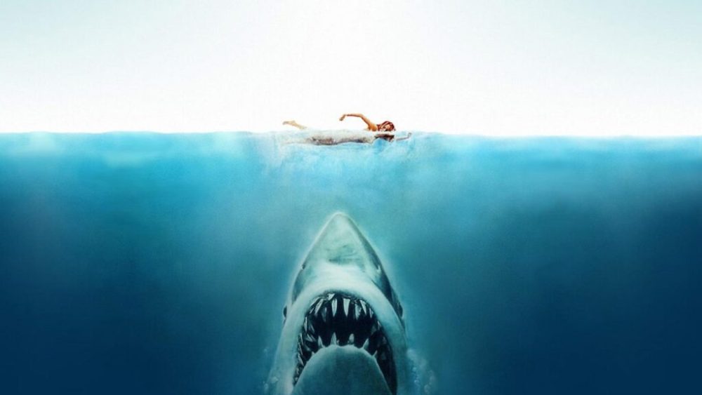 Les Dents de la Mer // Source : Universal Pictures Les Dents de la Mer // Source : Universal Pictures