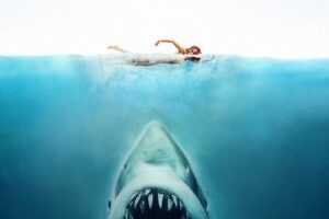 Les Dents de la Mer // Source : Universal Pictures