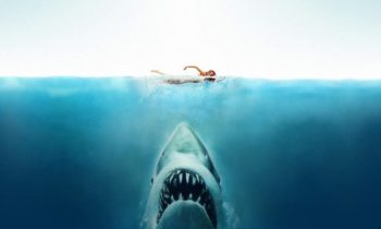 Les Dents de la Mer // Source : Universal Pictures Les Dents de la Mer // Source : Universal Pictures