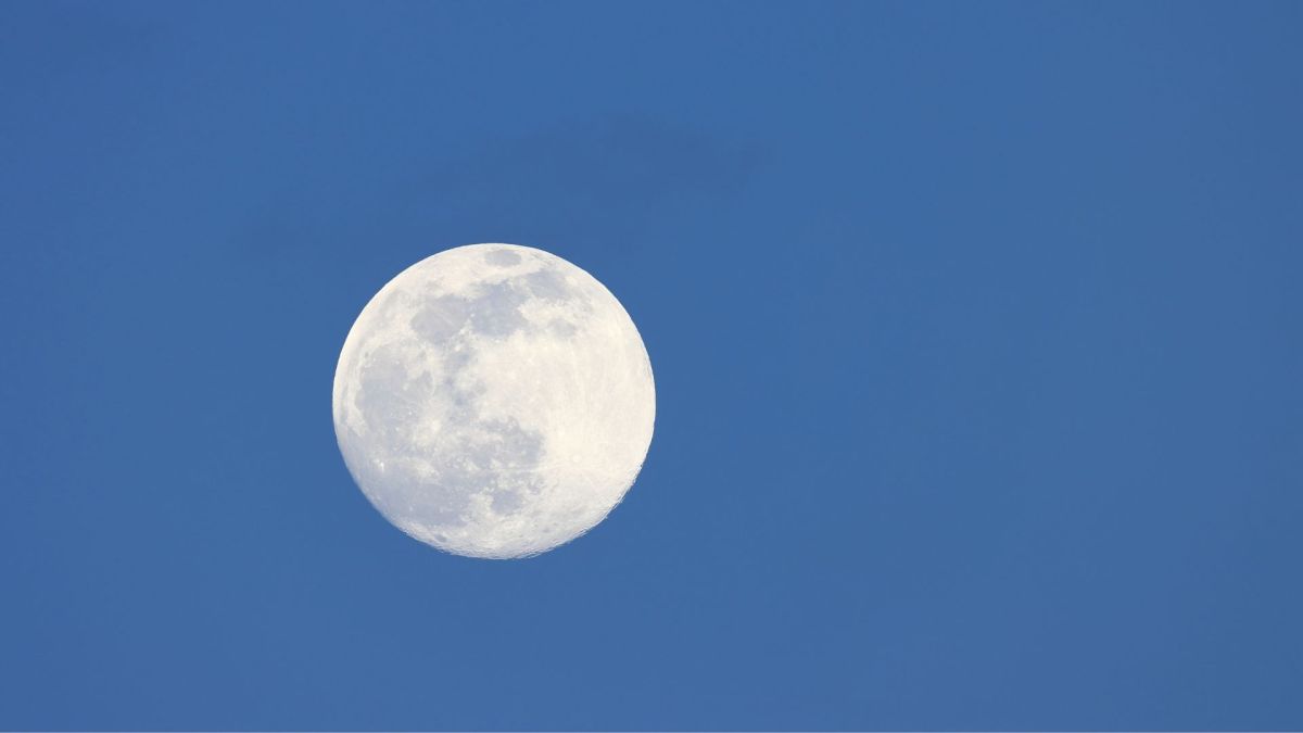 Lune. // Source : Canva Lune. // Source : Canva