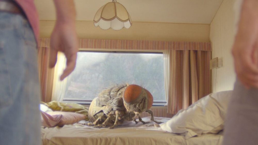Mandibules // Source : Memento Films Distribution Mandibules // Source : Memento Films Distribution