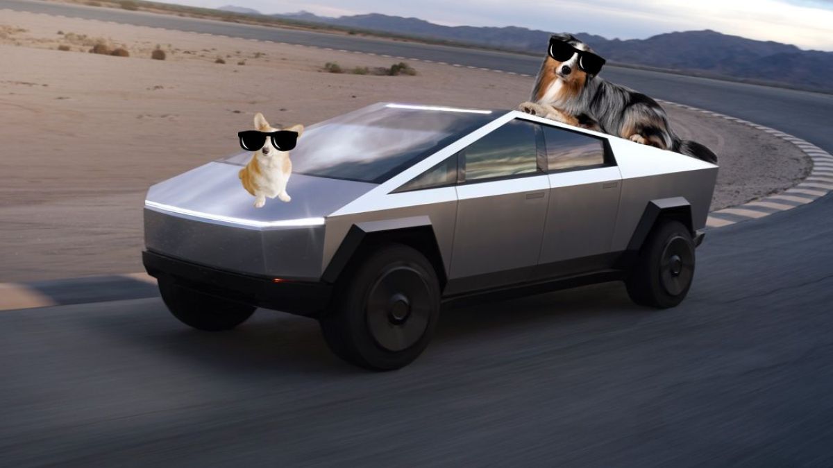 Deux chiens échappés d'un Cybertruck (photo non contractuelle) // Source : Montage (honteux) Numerama Deux chiens échappés d'un Cybertruck (photo non contractuelle) // Source : Montage (honteux) Numerama