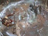 Diablo 4: Vessel of Hatred // Source : Blizzard Entertainment