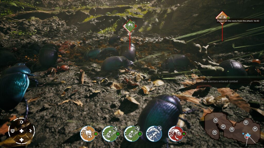 Les scarabées font partie de nos légions. // Source : Microids Les scarabées font partie de nos légions. // Source : Microids