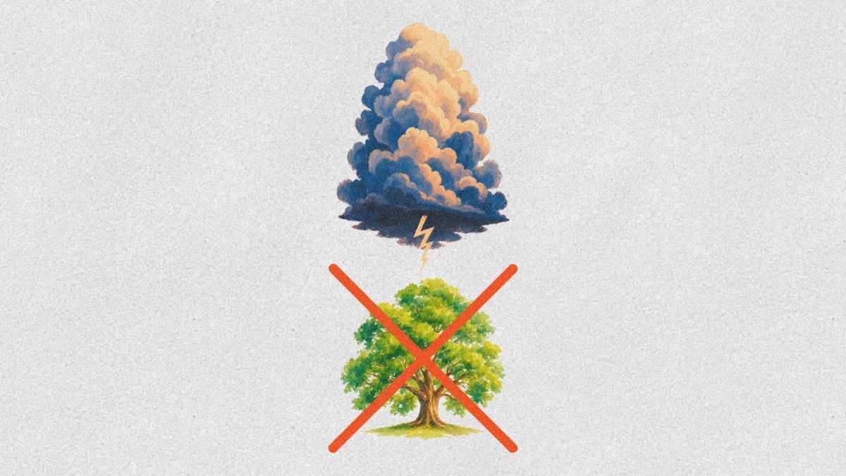 Il ne faut jamais rester sous un arbre pendant un orage. // Source : Montage Numerama avec Canva Il ne faut jamais rester sous un arbre pendant un orage. // Source : Montage Numerama avec Canva