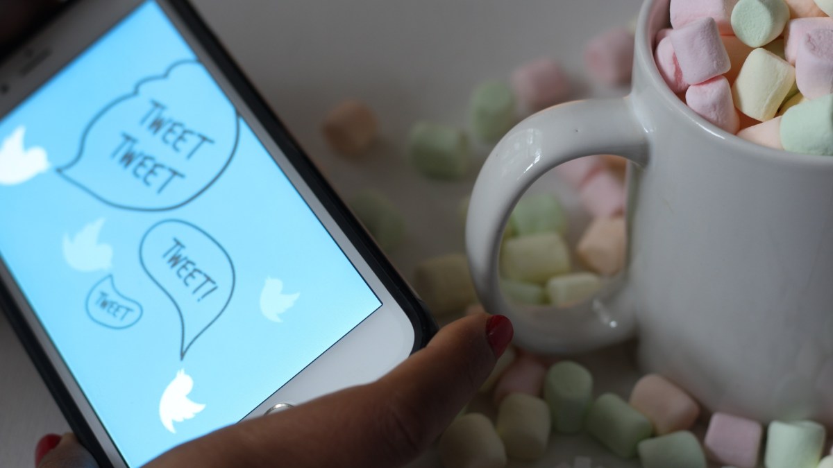 Twitter. // Source : Envato Twitter. // Source : Envato