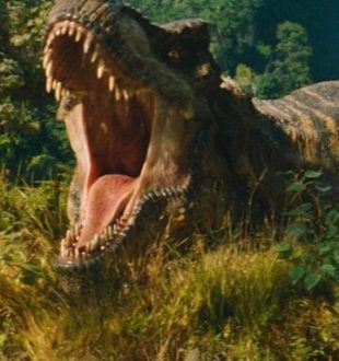 Les dinosaures seront de la partie dans Jurassic World Renaissance // Source : Universal Pictures