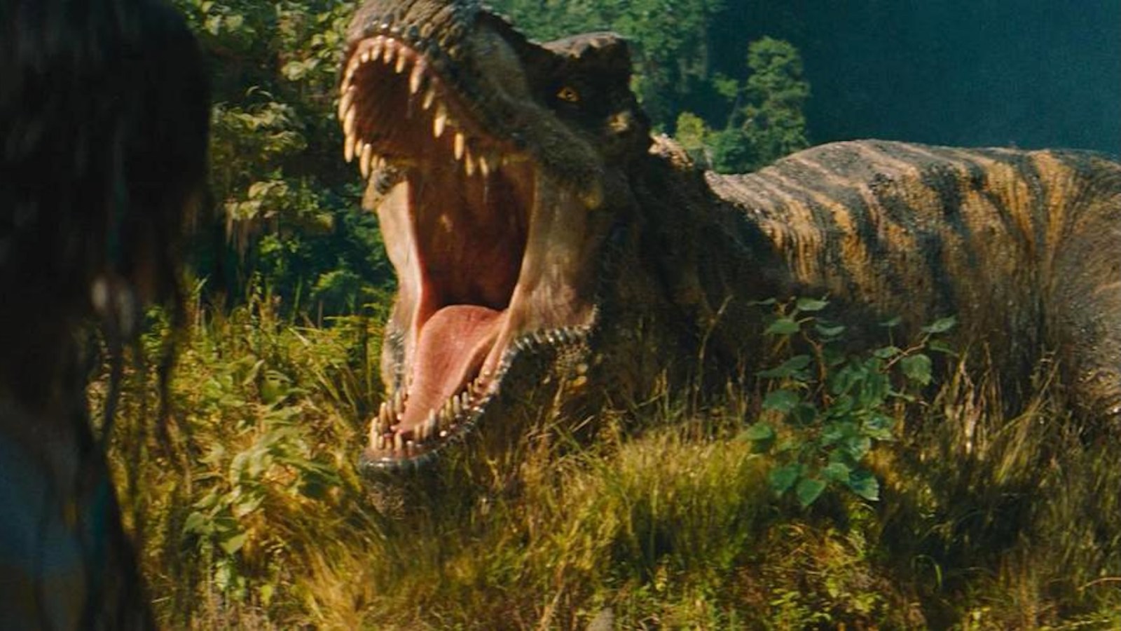 Netflix France : 19 films et séries à voir en octobre 2026