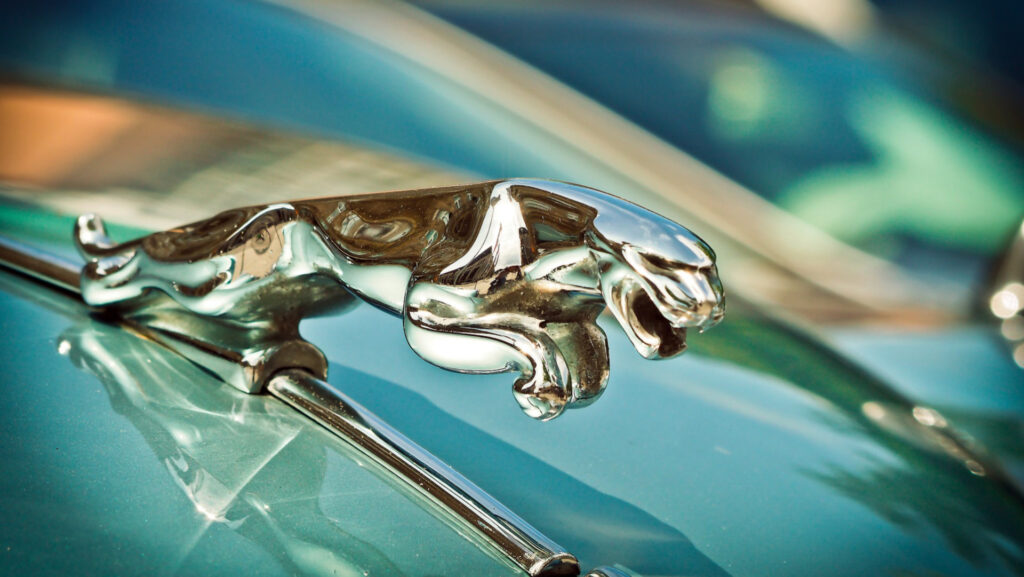 Ancien logo sur Jaguar XK // Source : Pixabay Ancien logo sur Jaguar XK // Source : Pixabay
