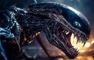 Coucou le xénomorphe // Source : Twentieth Century Fox