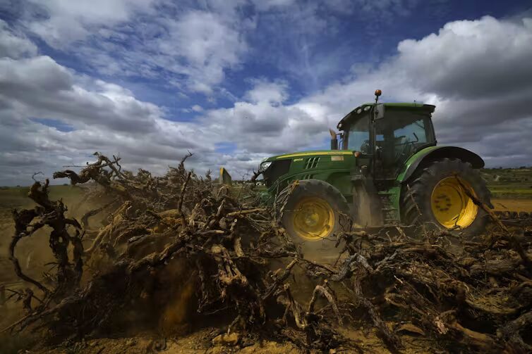 Les conditions météorologiques extrêmes, telles que la sécheresse, constituent un problème important pour les agriculteurs. // Source : EPA-EFE/Guillaume Horcajuelo Les conditions météorologiques extrêmes, telles que la sécheresse, constituent un problème important pour les agriculteurs. // Source : EPA-EFE/Guillaume Horcajuelo