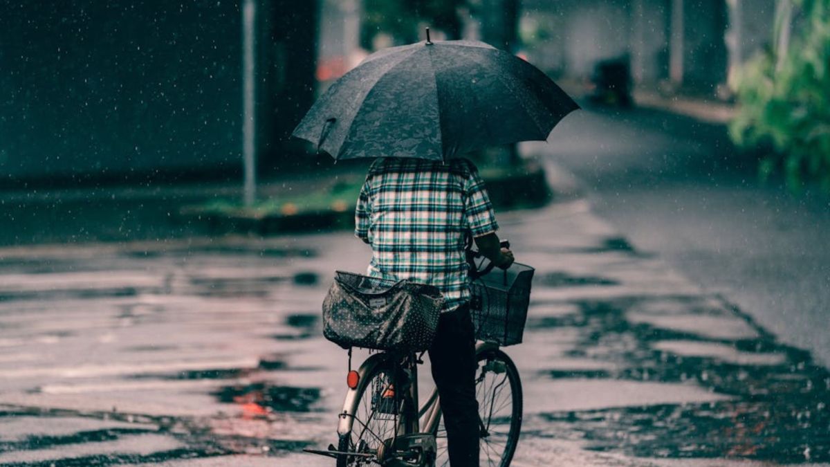 Muhammad Rafi Zidane (Pexels) // Source : URL Muhammad Rafi Zidane (Pexels) // Source : URL