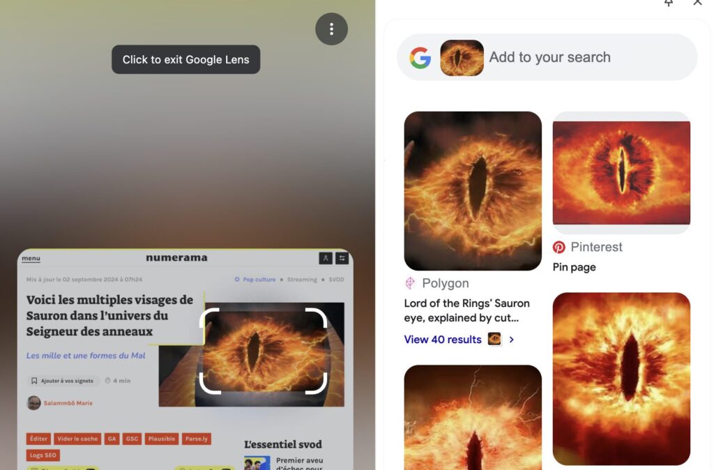 L'affichage des résultats de Googel Lens dans Chrome. L'affichage des résultats de Googel Lens dans Chrome.