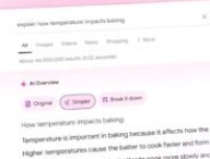 Les AI Overviews débarquent un peu partout