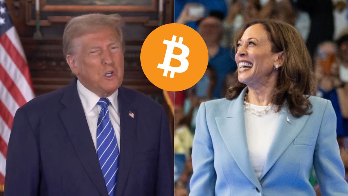 Donald Trump et Kamala Harris, avec un logo Bitcoin. // Source : Montage Numerama / Images Instagram/X Donald Trump et Kamala Harris, avec un logo Bitcoin. // Source : Montage Numerama / Images Instagram/X