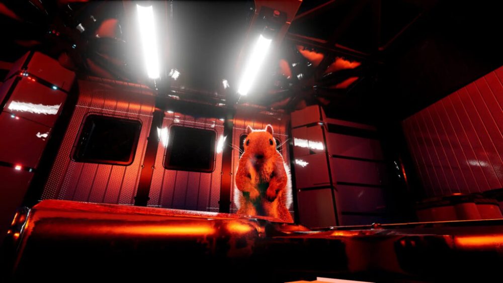 Capture Squirrel With a Gun Capture Squirrel With a Gun