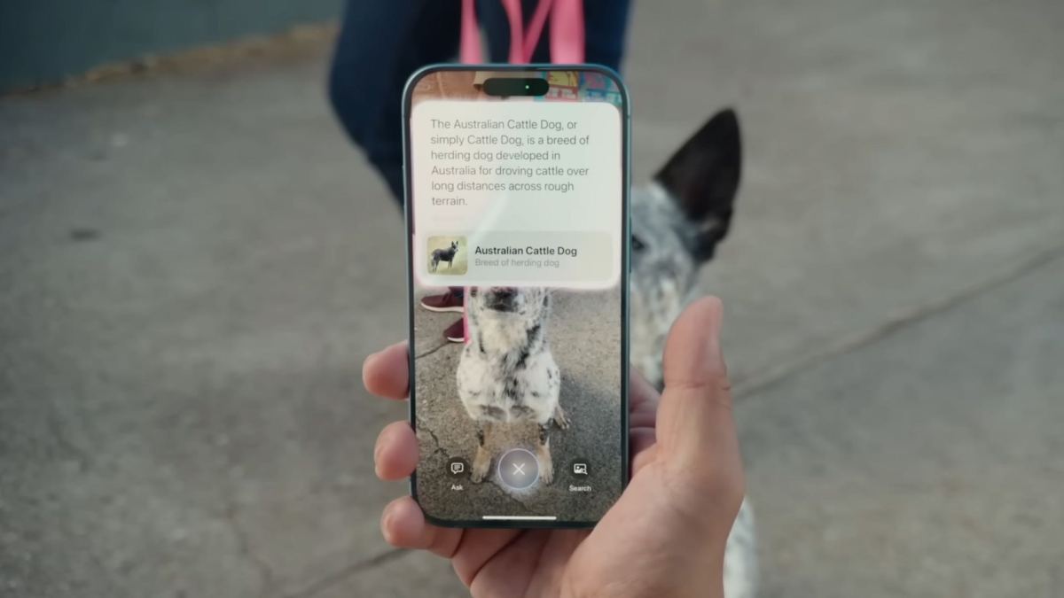 Visual Intelligence sur iPhone 16. // Source : Apple Visual Intelligence sur iPhone 16. // Source : Apple