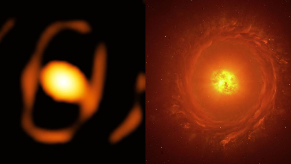 Image de l'étoile WOH G64 à côté d'une représentation artistique // Source : ESO/K Ohnaka et al., L. Calçada Image de l'étoile WOH G64 à côté d'une représentation artistique // Source : ESO/K Ohnaka et al., L. Calçada
