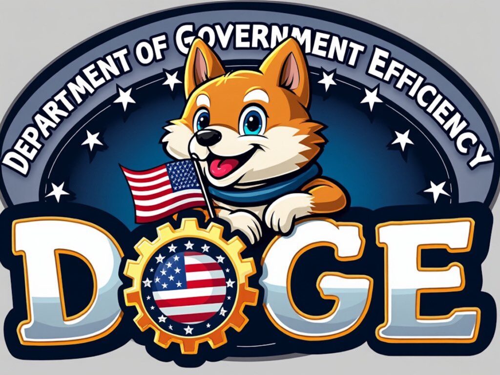 Department of Government Efficiency // Source : Twitter Elon Musk Department of Government Efficiency // Source : Twitter Elon Musk