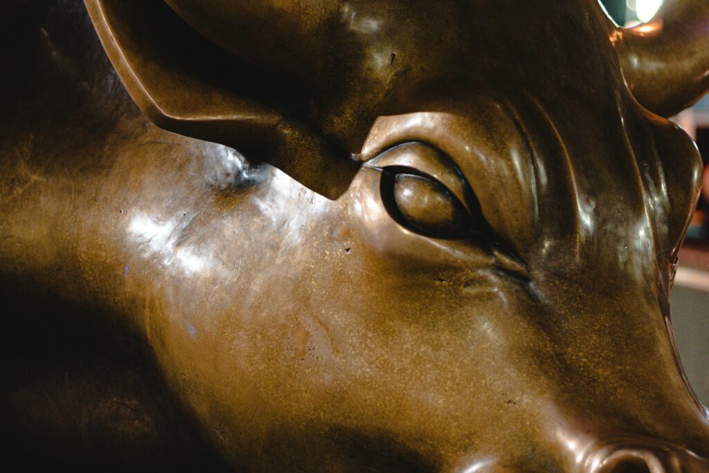 Bullrun Bullrun