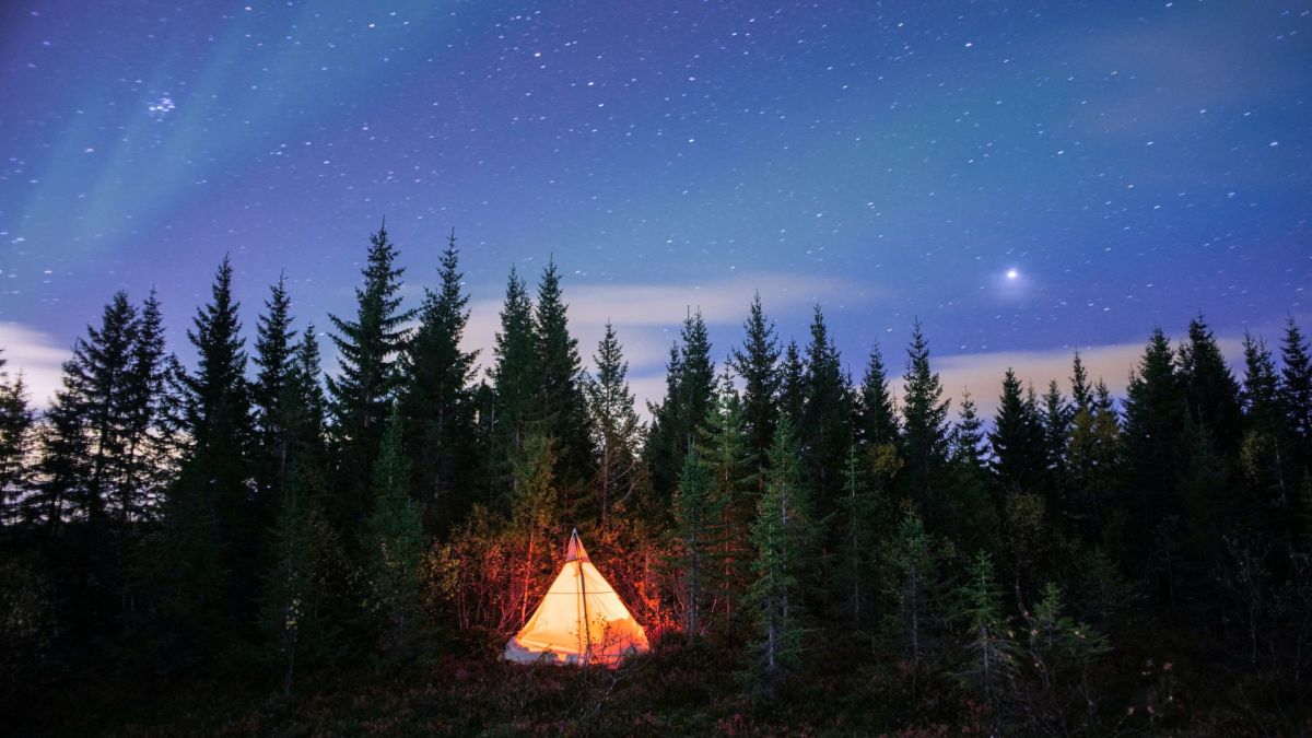 Ciel étoilé. // Source : Envato, image recadrée Ciel étoilé. // Source : Envato, image recadrée